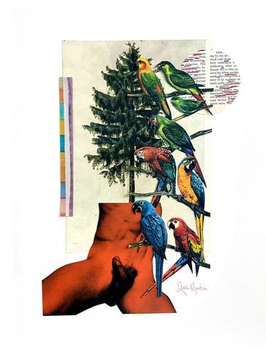 Print of Erotic Collage by Luis Martin