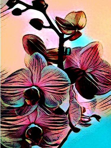 Orchid.1 thumb
