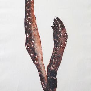 arm