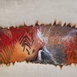 Collection native woman american