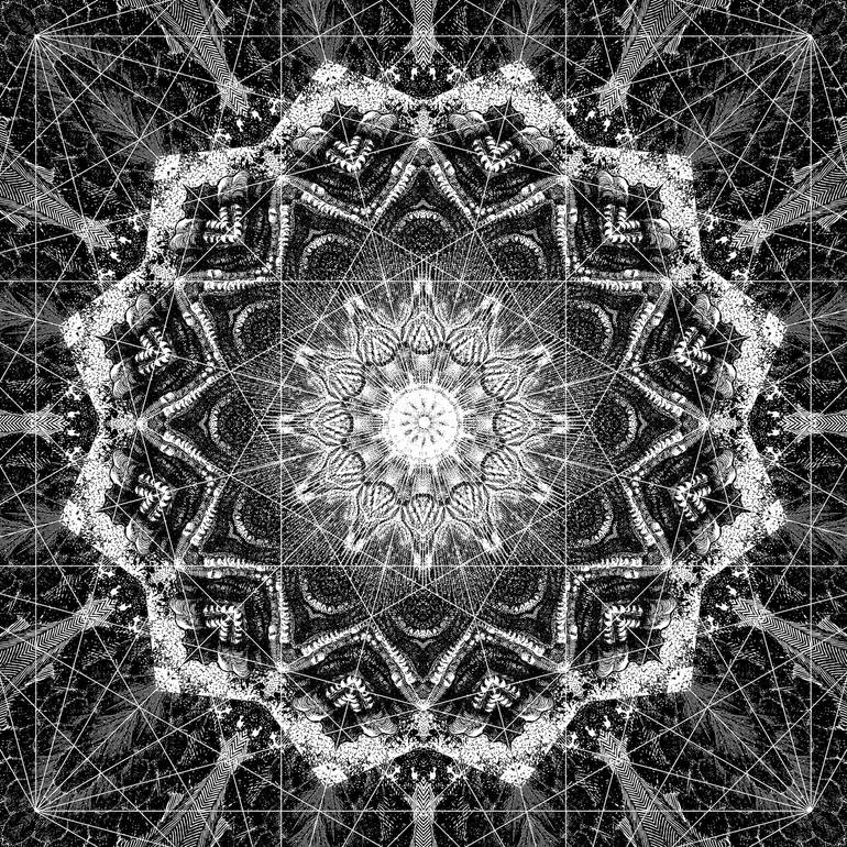 Original Black & White Light Printmaking by Ladislav Hubert
