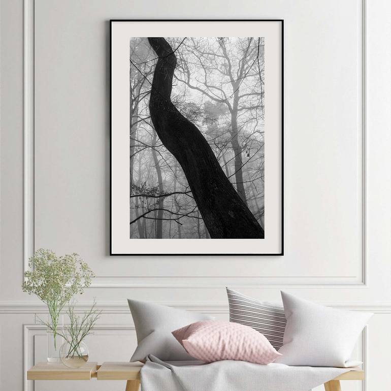 Original Conceptual Landscape Photography by Yvonn Zubak