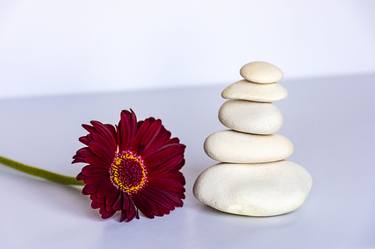 Balanced white stones with gerbera - Limited Edition of 10 thumb