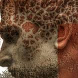 ABC#218 New roman face I by Mattia Paoli