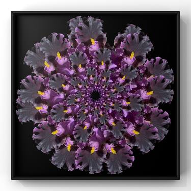 Original Abstract Floral Mixed Media by Mattia Paoli