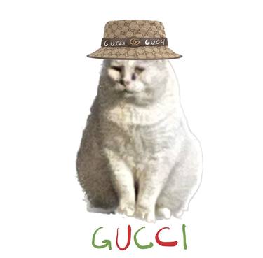 Gucci cat thumb