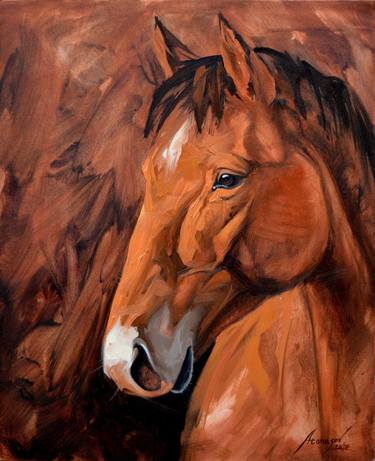 Horse Portrait thumb