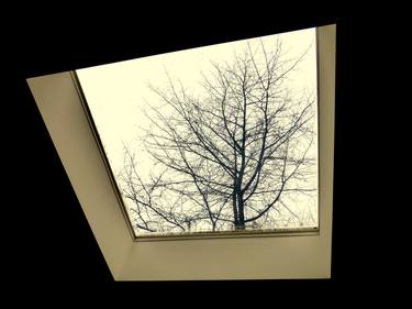 Winter skylight. thumb