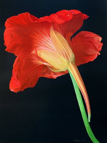 Original Floral Paintings by Lissa Banks