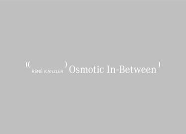 Collector’s Edition: Osmotic In-Between [LE 7 + 2 AP] thumb