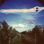 Collection How-To: By Medium - Photography