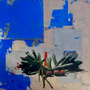 Collection Color Story: Royal Blue