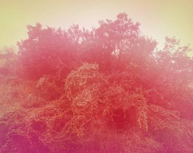 Original Abstract Landscape Photography by Beth Chucker