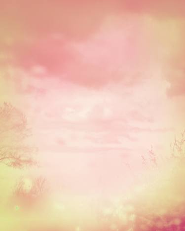 Original Abstract Expressionism Landscape Photography by Beth Chucker