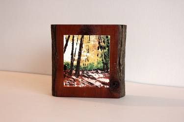 Original Landscape Sculpture by Eileen Lunecke