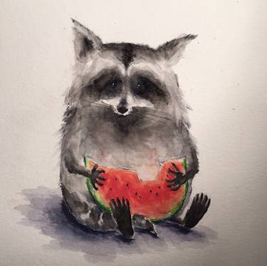 Racoon #1 (with watermelon) thumb