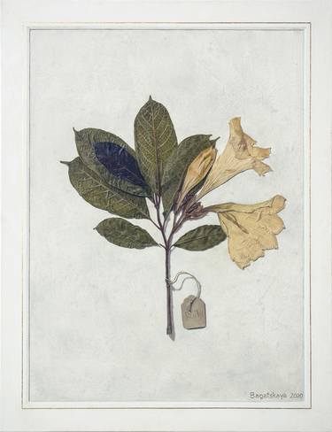 Print of Conceptual Botanic Paintings by Nataliya Bagatskaya