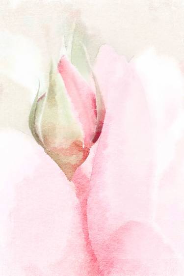 Print of Impressionism Floral Photography by Wendy Baker