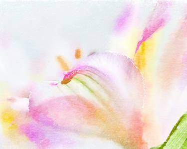 Print of Expressionism Floral Photography by Wendy Baker