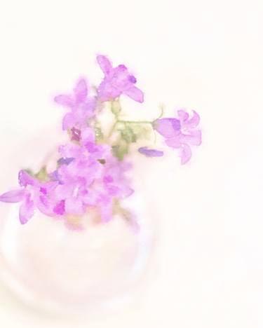 Original Floral Photography by Wendy Baker