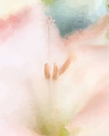 Original Abstract Floral Photography by Wendy Baker