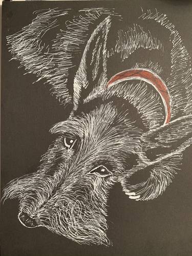 Original Figurative Dogs Drawings by peter redman