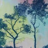 The Two Pines, Man Walking by Caroline Marg Elliott