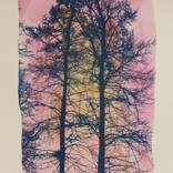The Two Trees, Pink by Caroline Marg Elliott