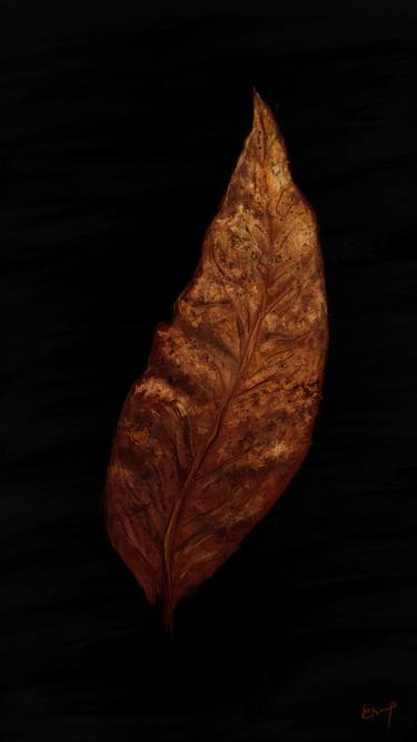 Original Abstract Botanic Drawings by Erna Velic