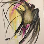 Open bird by Erna Velic