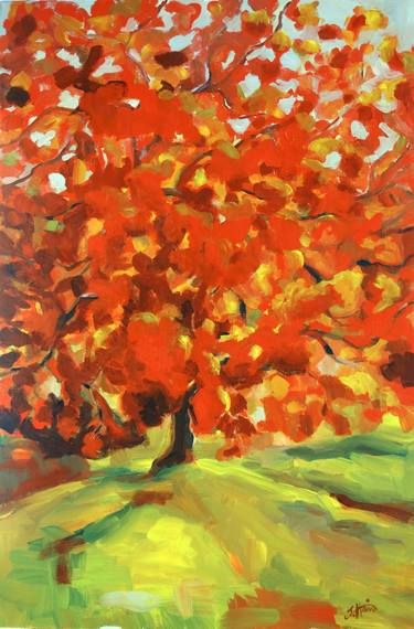 Vibrant Rest Maple Tree in Autumn thumb