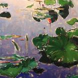 Lotus Leaves by Yuanyuan Liu