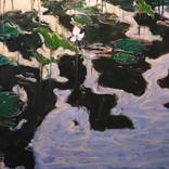 Lotus Leaves by Yuanyuan Liu