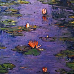 Water Lilies at dusk
