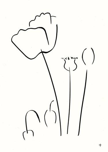 Original Minimalism Floral Drawing by David Jones