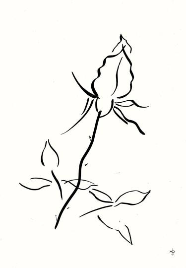 Original Art Nouveau Floral Drawings by David Jones