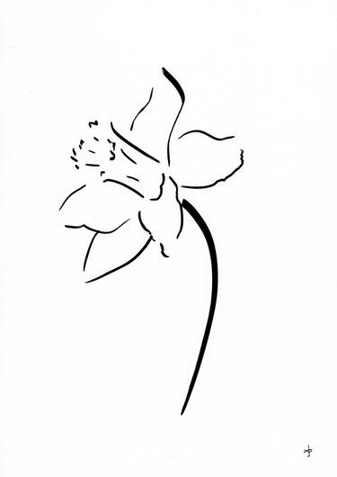 Original Minimalism Floral Drawings by David Jones