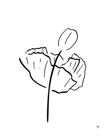 Original Minimalism Floral Drawings by David Jones