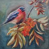 Bullfinch by Anya Dee
