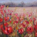 Poppy field by Anya Dee