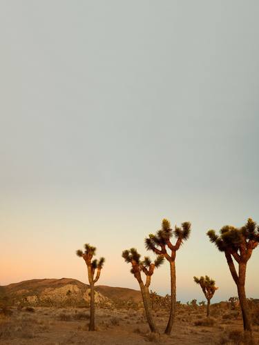 Desert Evening Diptych thumb