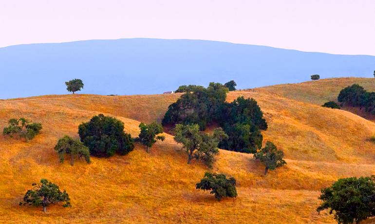 Original Abstract Landscape Photography by Matthew O'Shea