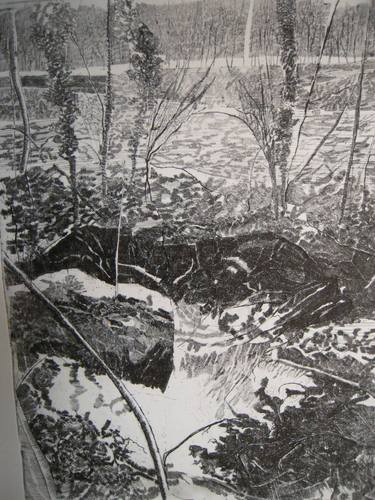 Original Expressionism Landscape Printmaking by Maria Antonietta Onida