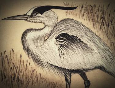 Print of Fine Art Nature Drawings by Tabitha Jane Zeigler