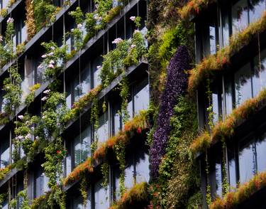 Vertical Garden thumb