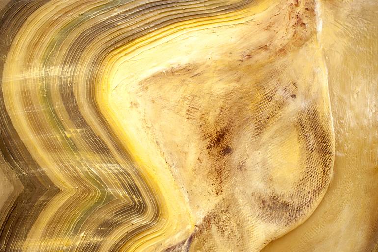 Original Abstract Nature Painting by Carla Fossi