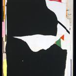 Collection Kate Banazi