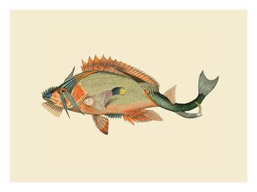 Saatchi Art Artist BoWo Studio; Collage, “Infertile fishes: Etropus Dentatus (collage) |” #art