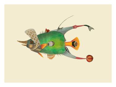 Infertile fishes: Deania Taeniopterus (collage) | Limited edition of 100 thumb