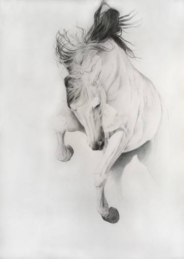 Print of Figurative Horse Drawings by Iren Tarvid